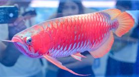 （圖／翻攝自微博）