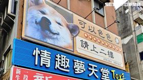 情趣用品,飛機杯,年薪,百萬(業者提供)