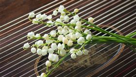 ▲古箏。（示意圖／翻攝自Pixabay）