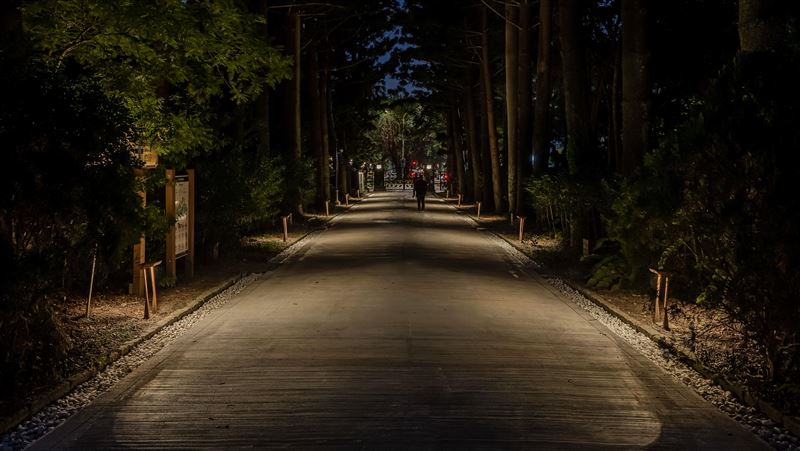 微光夜行！台北植物園「植光步道」啟用