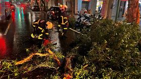 瑪娃颱風,路樹,倒塌,北市,重慶北路,機車