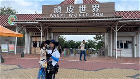 企鵝妹衝頑皮世界餵狐獴！工作人員1舉動　全場讚爆：超強