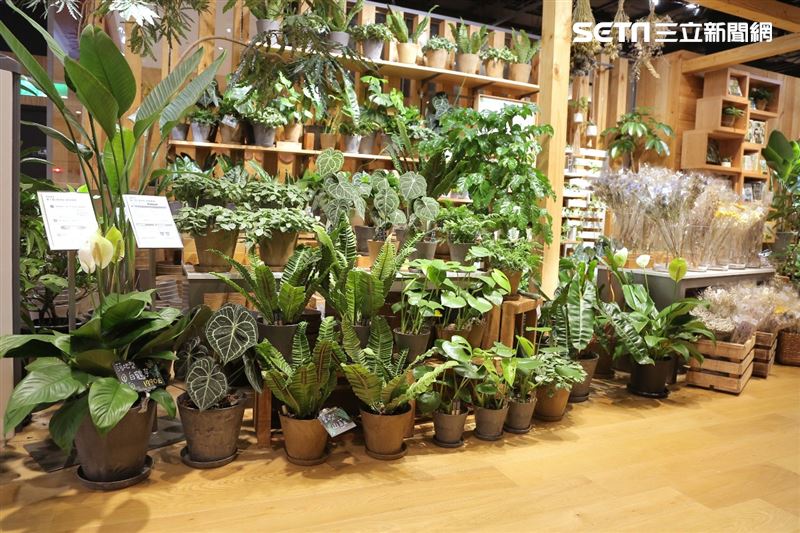 MUJI無印良品松高旗艦店開幕。（圖／記者楊澍攝影）