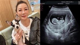 楊繡惠,懷孕,白雲,超音波