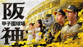 ▲中信兄弟阪神主題日，主視覺卻不見代表性人物「林威助」。（圖／翻攝自中信兄弟臉書）