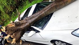 竹東,山區,砸車（圖／翻攝畫面）