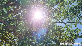 好天氣,太陽,高溫,中暑,熱傷害(翻攝畫面)