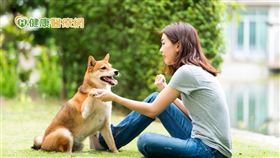 毛小孩陪伴主人紓壓，填補託愛情感。