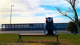 星宇航空開闢熊本新航線。（圖／星宇航空提供）