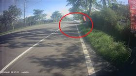 特斯拉,六龜分局,巡邏車,車禍,車速