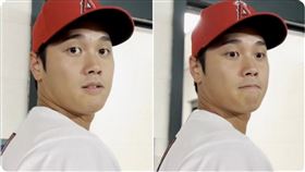 林襄,樂天女孩,啦啦隊,美國大聯盟,台灣日,大谷翔平,TVBS,道歉,Eleven Sports,主播