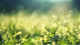 ▲小滿過後天氣將變得悶熱。（示意圖／翻攝自Pixabay）