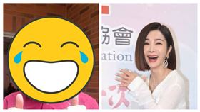 陳美鳳（右）與劉尚謙年輕時曾相戀過。（圖／資料照）