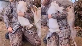 見同伴被人類抱走...兔子急揮詠春拳！一陣猛捶畫面曝光　網笑翻。（圖／翻攝自微博）