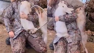 見同伴被抱走...兔急揮拳畫面曝　網笑翻