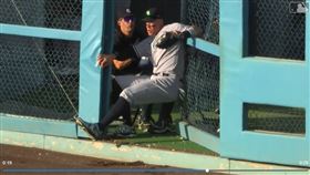 ▲賈吉（Aaron Judge）全壘打牆前接殺，因為作用力差點跌進牛棚區。（圖／翻攝自MLB官網）