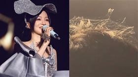  張韶涵演唱會，歌迷頭上有蜘蛛在結網。（圖／翻攝自張韶涵 IG、微博）