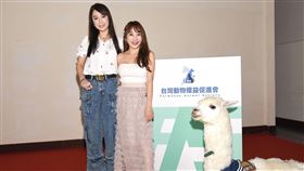 王宥忻（圖／動物權益促進會提供）