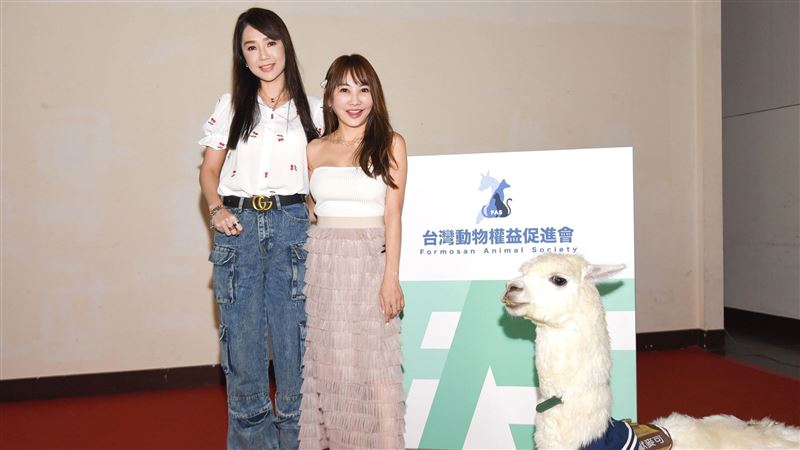 財富女神超狂新計畫曝　4百萬毛小孩受惠