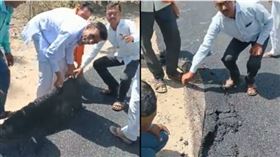 馬路成瀝青地毯 （圖／翻攝自推特）