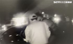 高雄,貓,遮雨棚,貓奴