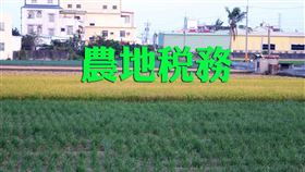 法院拍賣之農地，債權人不得代位申請不課徵土地增值稅（圖／資料照）