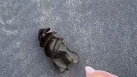 沙灘驚見「巨型鑽頭」！深棕色、半透明體內藏「秘密」　她揭真實身分（圖／翻攝自抖音）