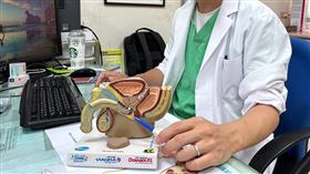 攝護腺肥大(台中榮總嘉義分院提供)