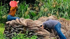 遊客拍巨人之手硬要「頭塞鼻孔照」　網嘆：都這樣壞的