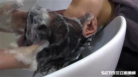 髮廊、洗頭髮、美髮