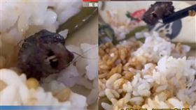 （圖／翻攝自沸點新聞）