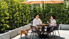 傳佳馥。（業配／其他勿用）