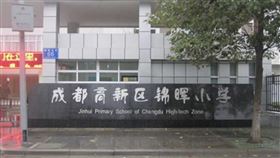 大陸,四川,籃球架,小學,身亡,意外