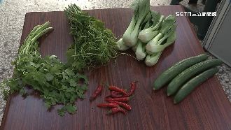 你會唸嗎？日常「6蔬菜」譯成台語長知識