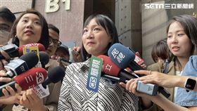 民進黨國際部主任謝佩芬（圖／記者高逸帆攝影）