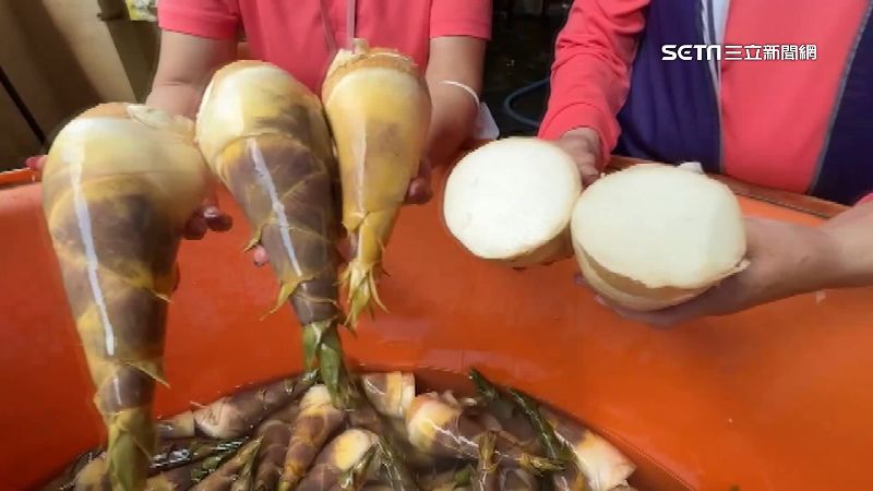 綠竹筍量減漲價！竹筍排骨湯成本恐300元
