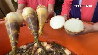 綠竹筍量減漲價！竹筍排骨湯成本恐300元