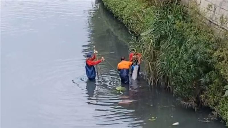 假人模特竟是「人彘」…警被託夢找到頭顱