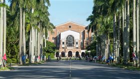 台大／台灣大學／椰林大道／台大圖書館（記者陳弋攝影）