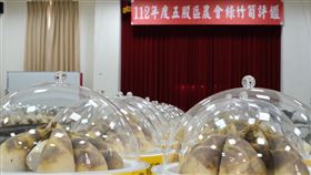 綠竹筍,五股,農業局,新北,評鑑,創意,