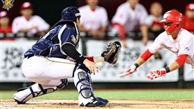 ▲高宇杰觸殺代跑石翔宇。（圖／中信兄弟球團提供）