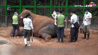 危險加給30年未調！保育員月薪僅領3萬初