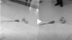 孕婦,生小孩,寶寶,醫院,地板