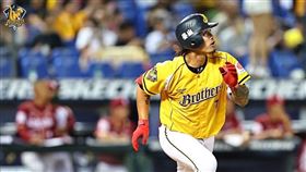 ▲張志豪代打3分彈。（圖／中信兄弟球團提供）