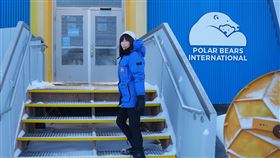 舒夢蘭三度前進北極圈，親見北極熊慘況。（圖／聚焦全世界提供）