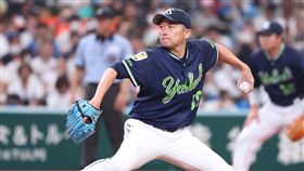 ▲石川雅規。（圖／取自東京養樂多燕子FB）