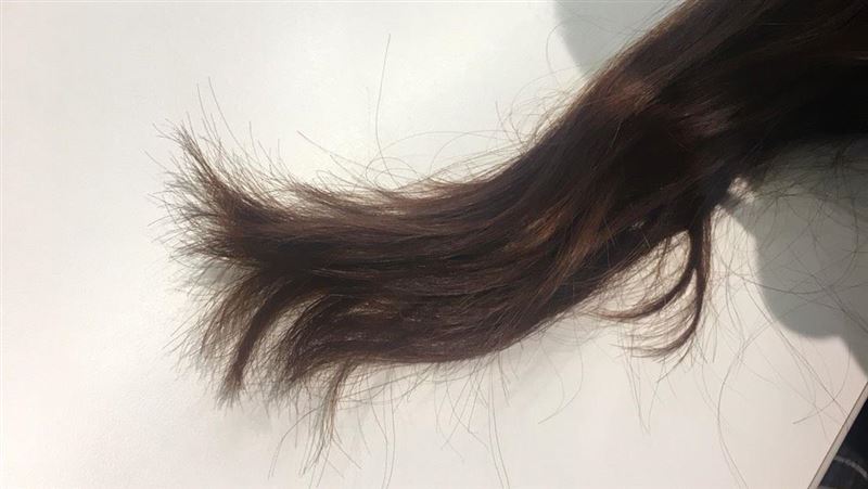 檢調搶先做完毛髮檢測！北榮楊振昌揭原因