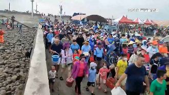 挖啊挖一日漁夫！2600人擠潮間帶猛耙文蛤