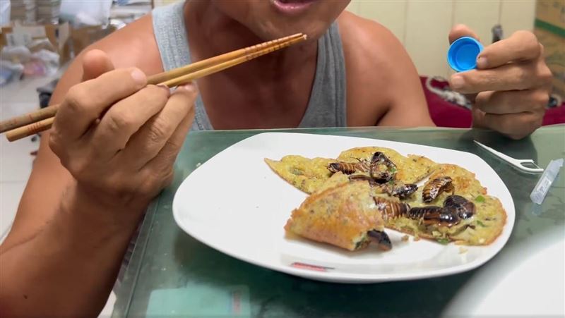 他鏡頭前嗑光整盤蟑螂煎蛋　真實口感曝光