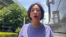 林靜儀（圖／林靜儀辦公室提供）